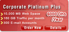 Web Hosting / Corporate Platinum Plus Plan