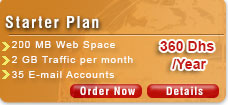 Web Hosting / Starter Plan